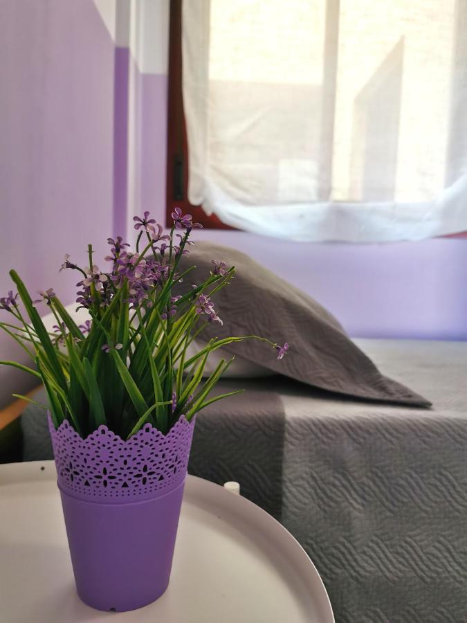 Anais Dreams&Relax Apartman Corralejo Kültér fotó